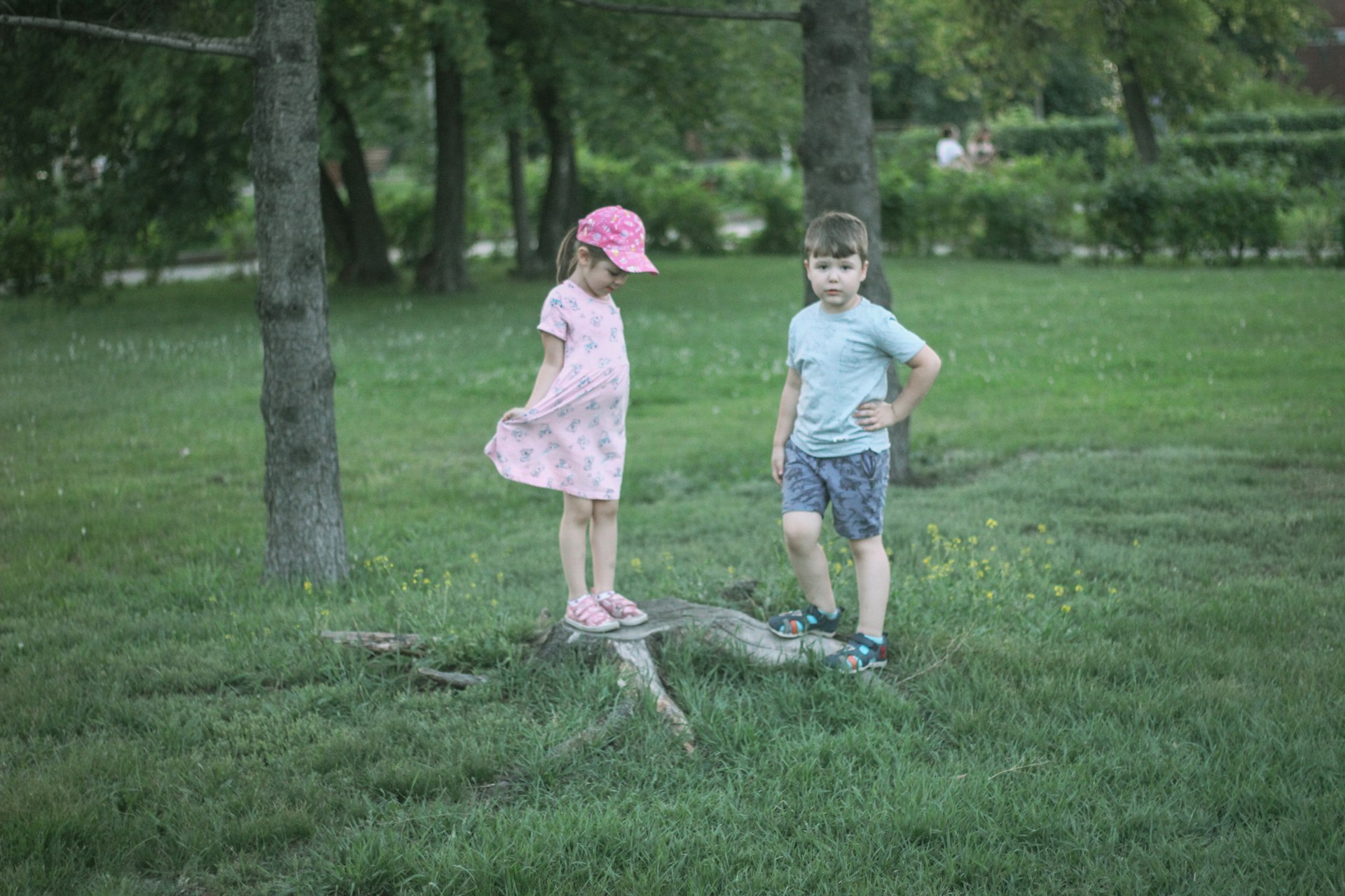 girl and boy standing beside trees during daytime